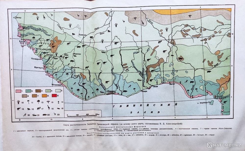 In tropical Africa. Notes of a Botanist Almaty - photo 8