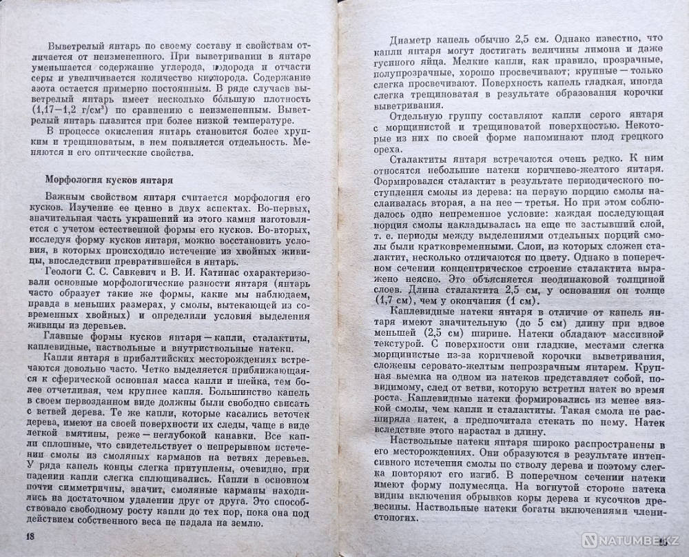 Yantar – B.I. Srebrodolsky, 1984 Almaty - photo 3