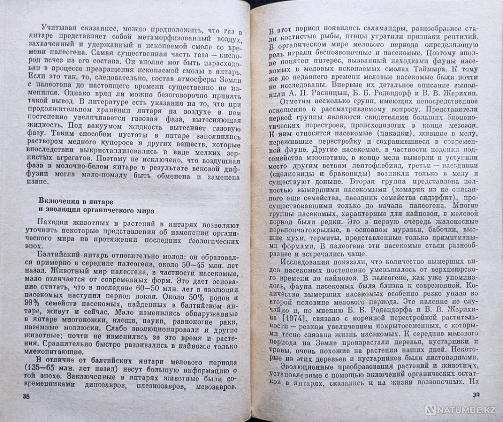 Yantar – B.I. Srebrodolsky, 1984 Almaty - photo 4