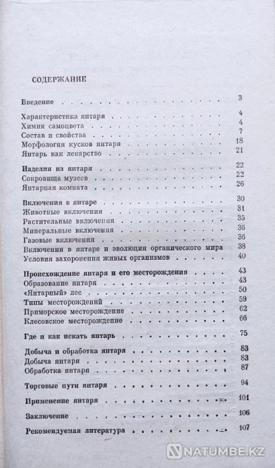 Yantar – B.I. Srebrodolsky, 1984 Almaty - photo 8