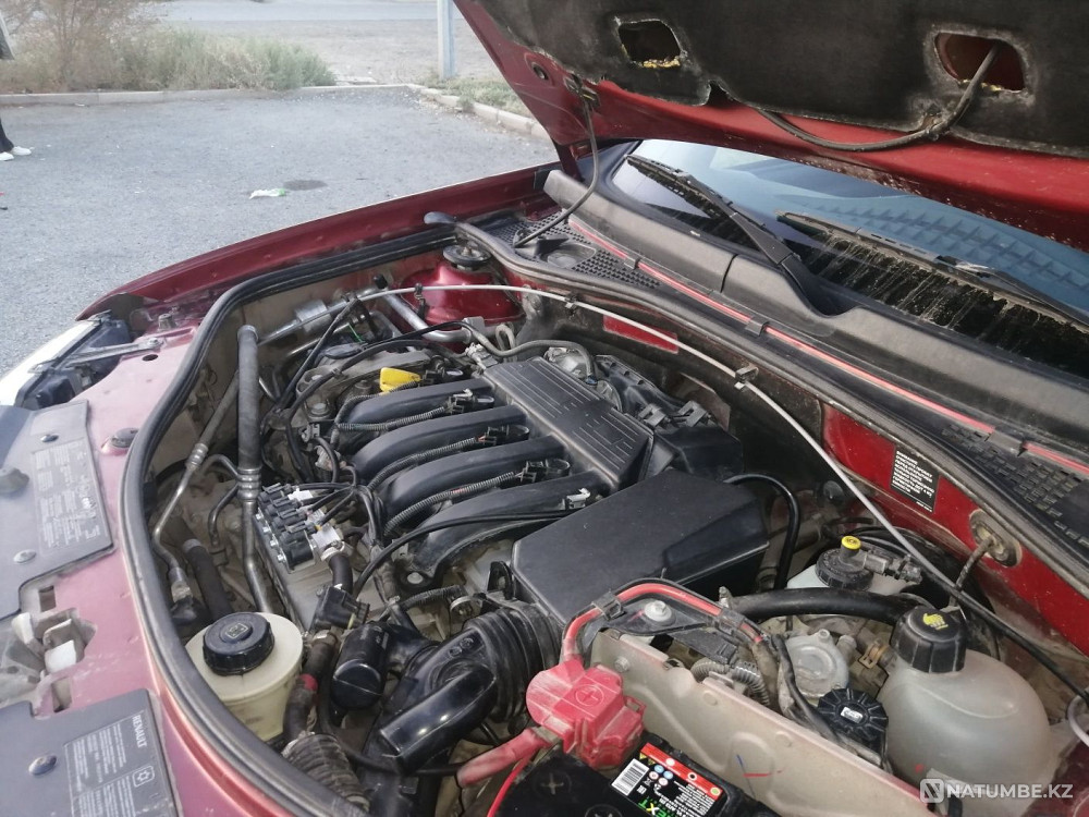    year Almaty - photo 2