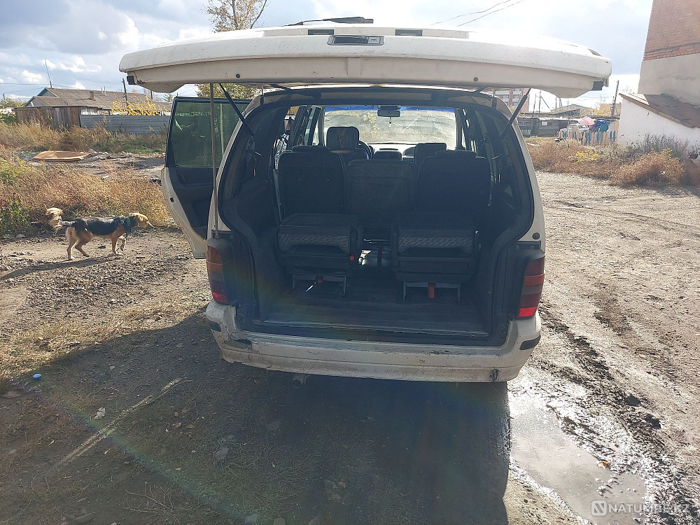    year Almaty - photo 4