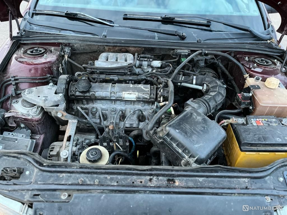    year Almaty - photo 2