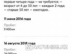    year Almaty - photo 10