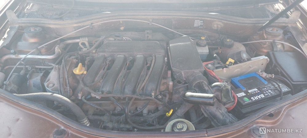    year Almaty - photo 3