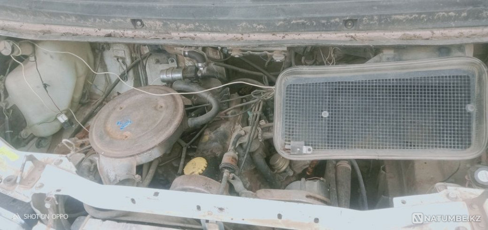    year Almaty - photo 5