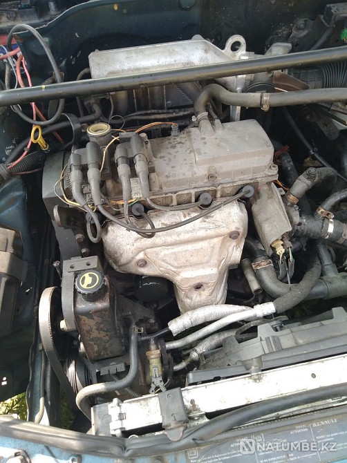    year Almaty - photo 2