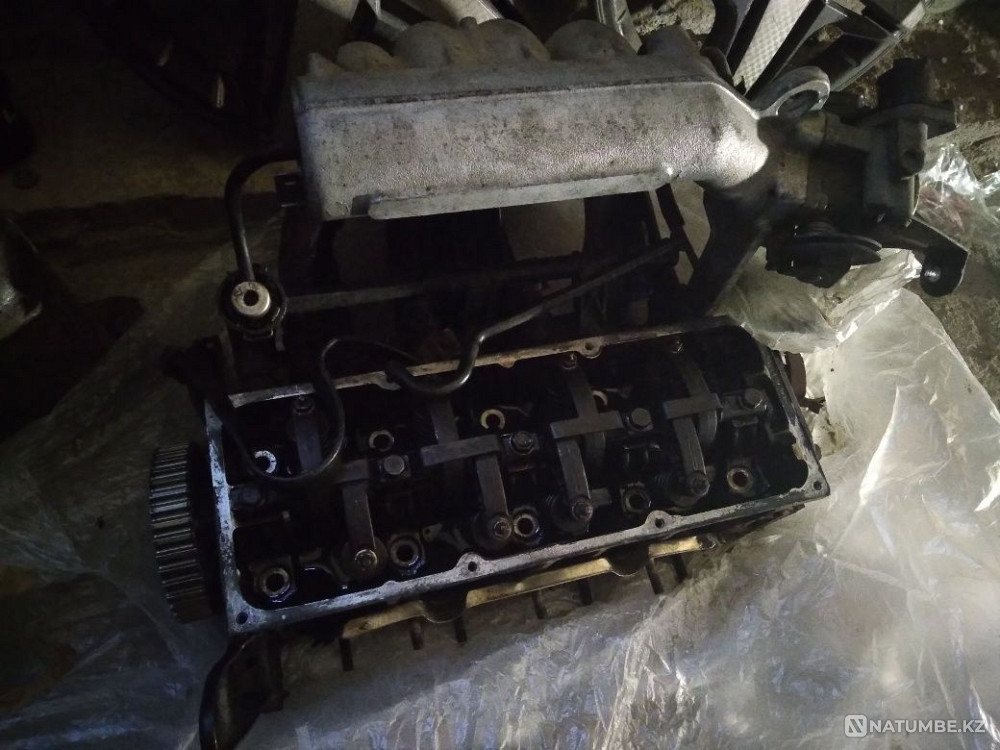    year Almaty - photo 5