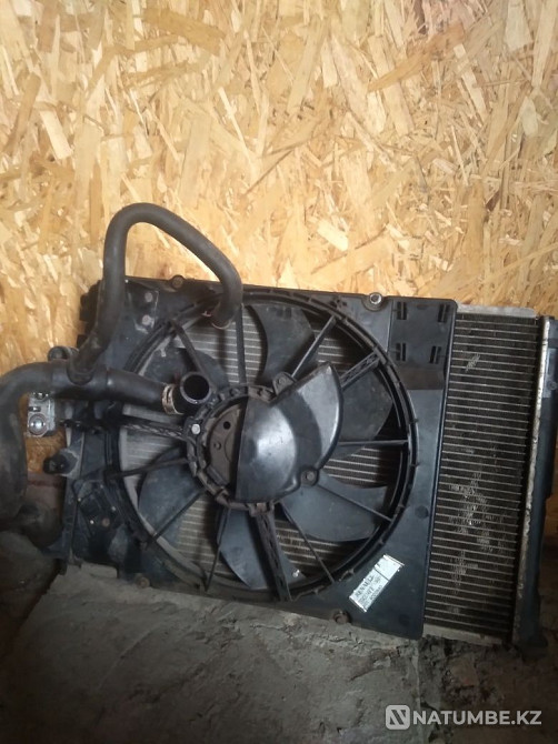    year Almaty - photo 8