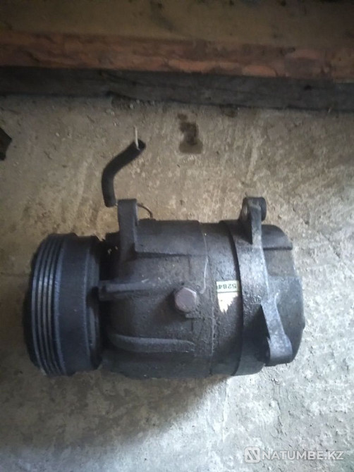    year Almaty - photo 9