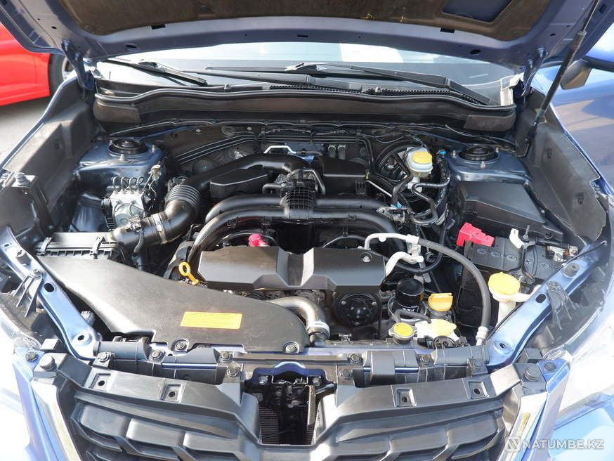    жыл  - изображение 10