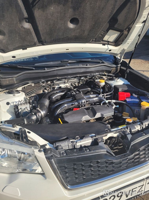    жыл  - изображение 5