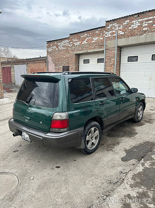    жыл  - изображение 4