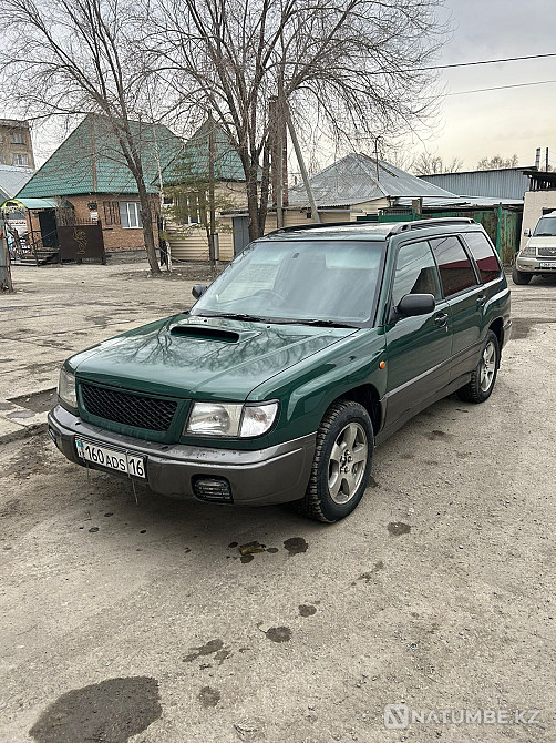    жыл  - изображение 1