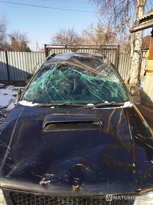    жыл  - изображение 5