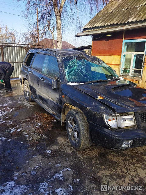    жыл  - изображение 6