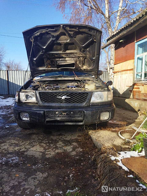    жыл  - изображение 3