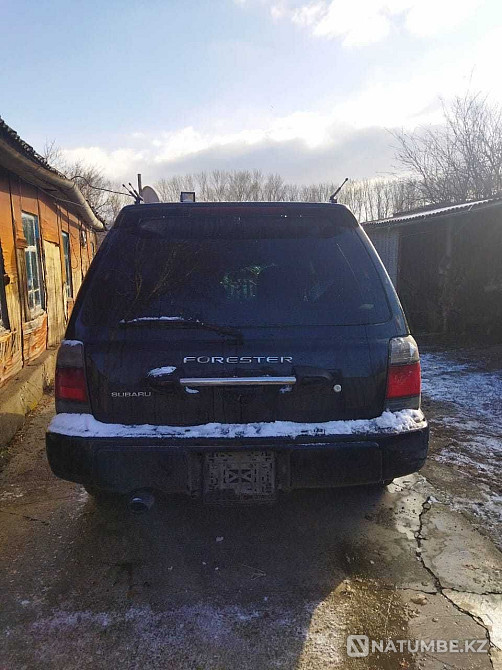    жыл  - изображение 2