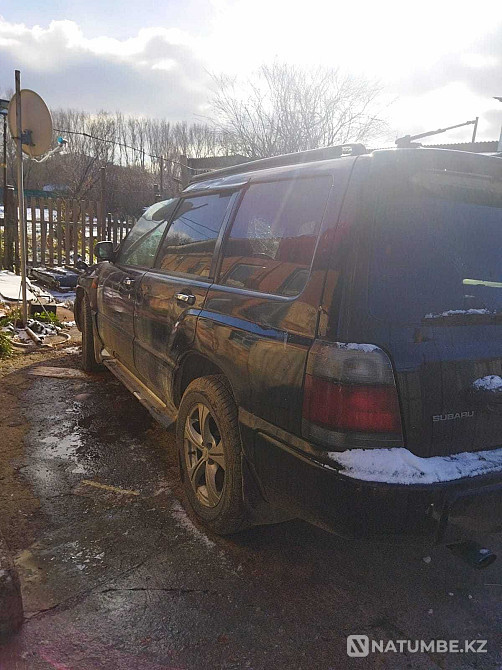    жыл  - изображение 7