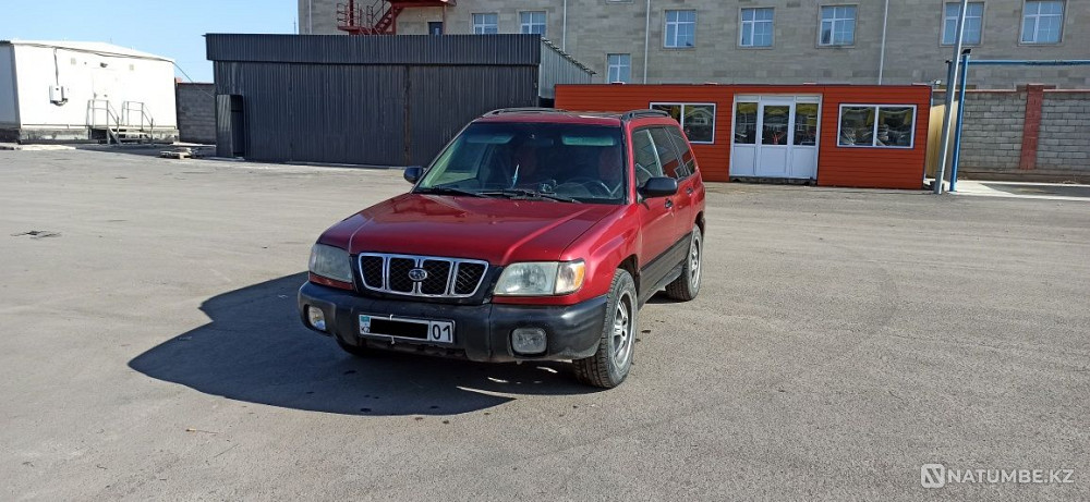    жыл  - изображение 5