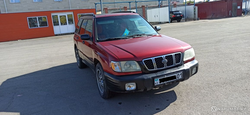    жыл  - изображение 6