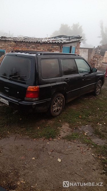    жыл  - изображение 4