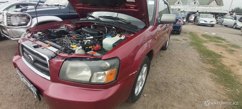    жыл  - изображение 7