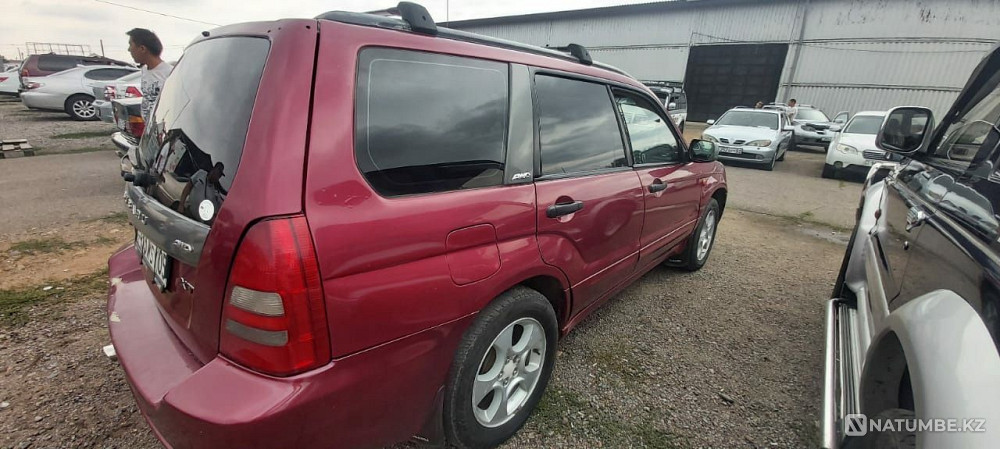    жыл  - изображение 4