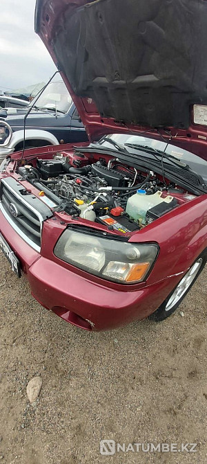    жыл  - изображение 2