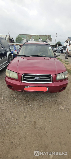    жыл  - изображение 1