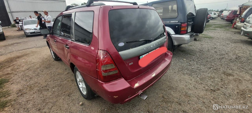    жыл  - изображение 3