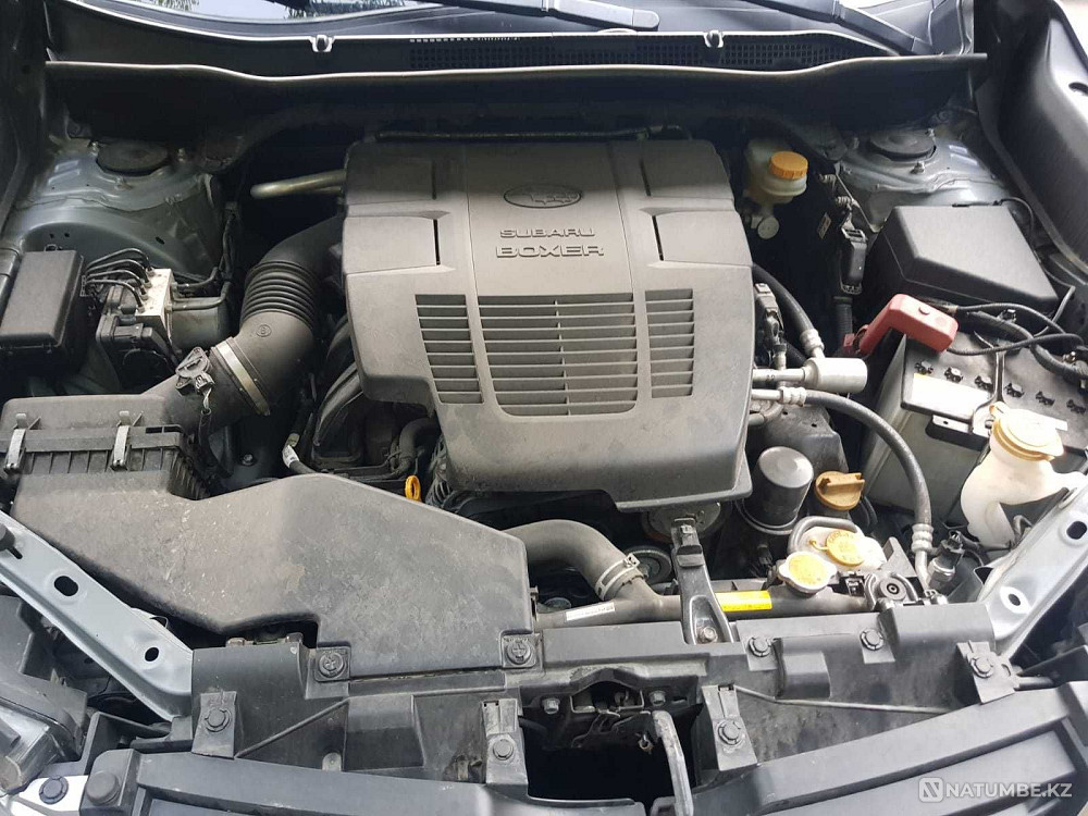    года  - изображение 6