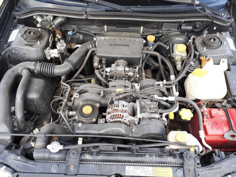    жыл  - изображение 7