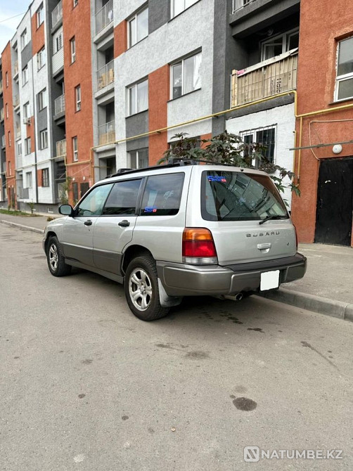    жыл  - изображение 3