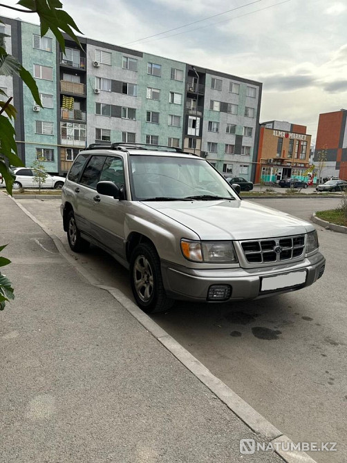    жыл  - изображение 2