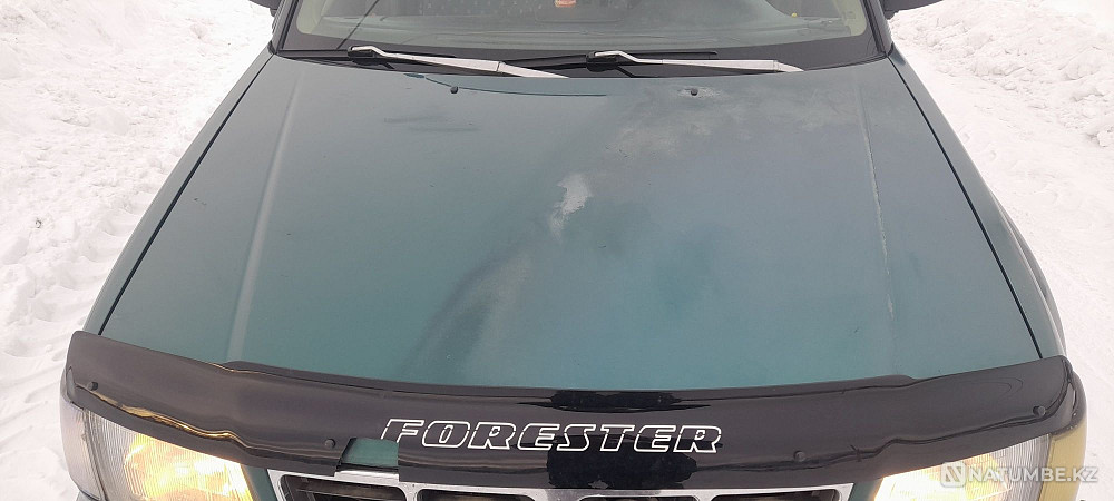    жыл  - изображение 10