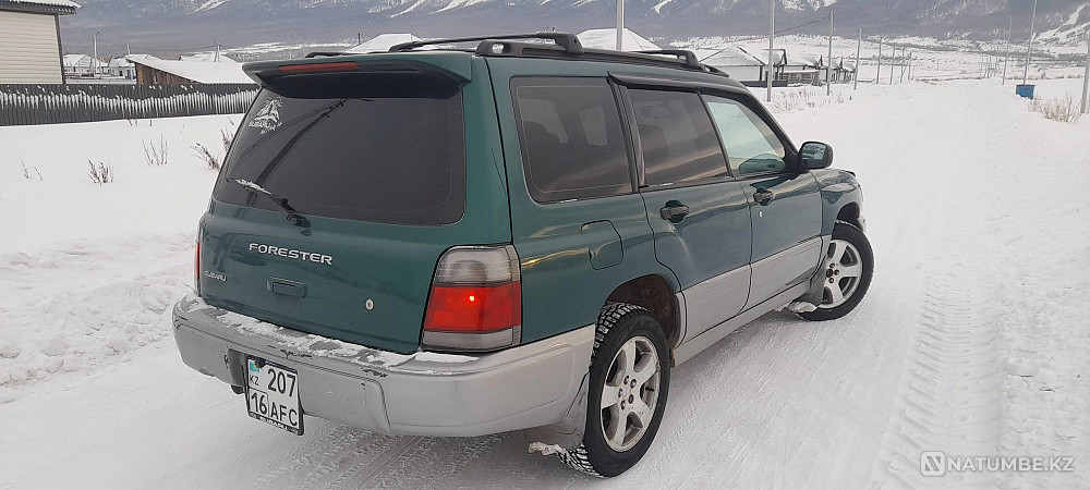    жыл  - изображение 7