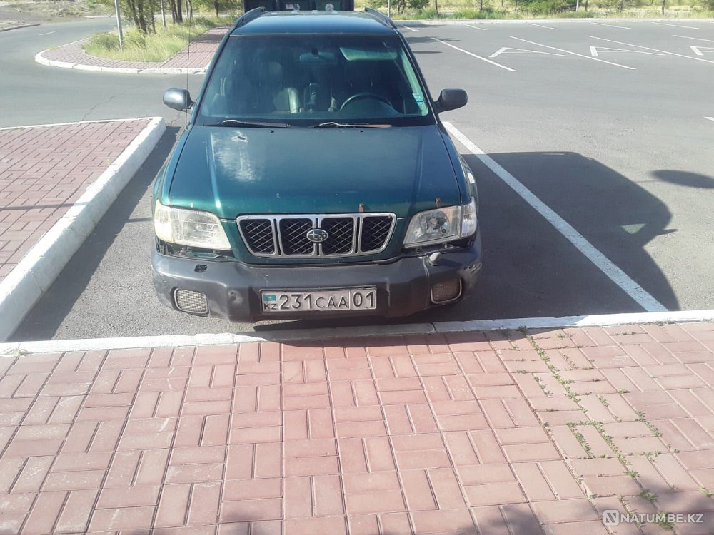    жыл  - изображение 4