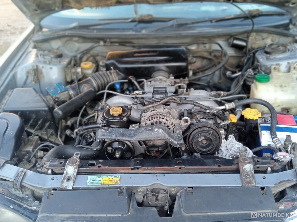    жыл  - изображение 6