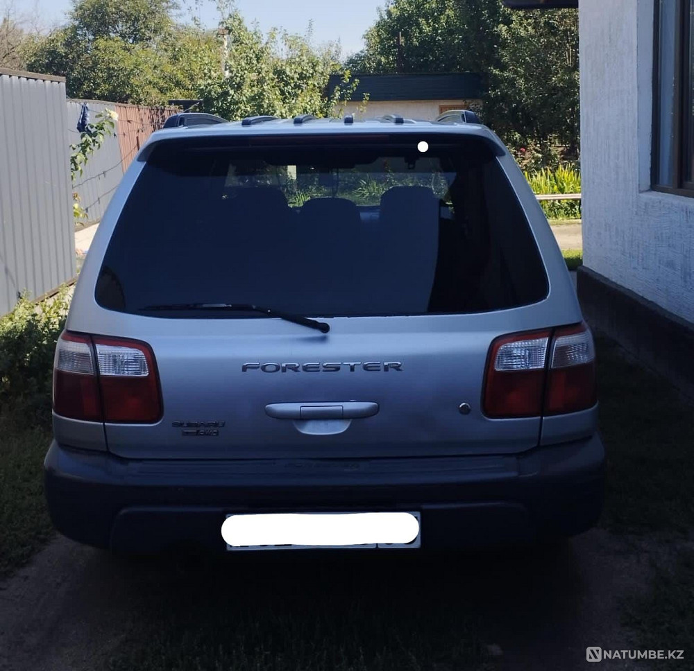    жыл  - изображение 6