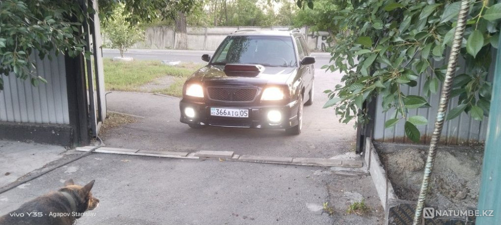    жыл  - изображение 1