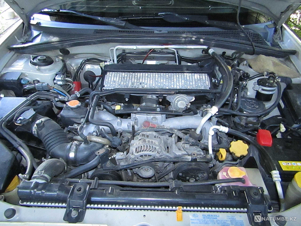    жыл  - изображение 9