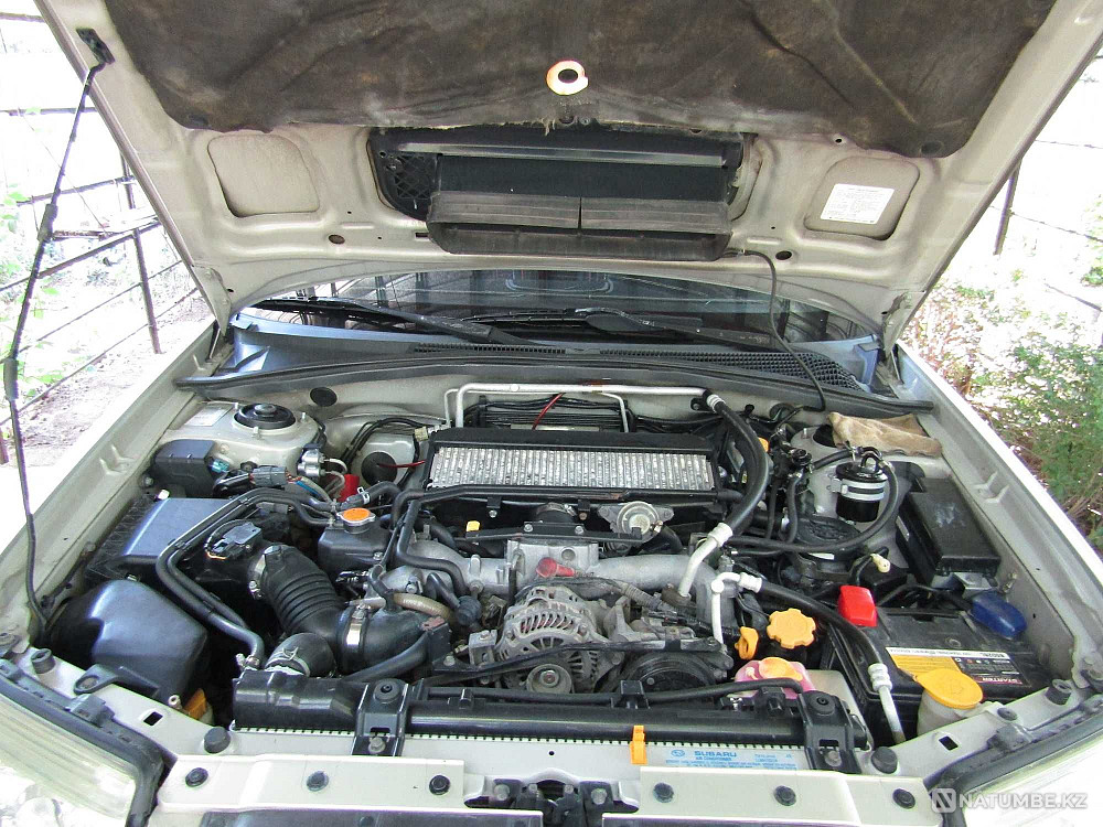    жыл  - изображение 7