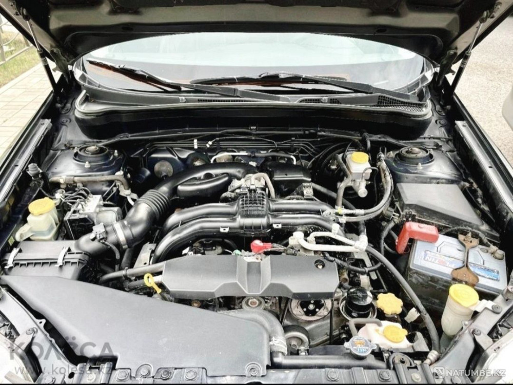    жыл  - изображение 2