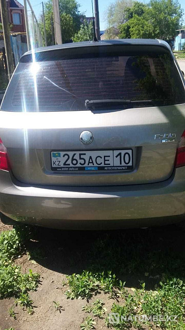    year Almaty - photo 3