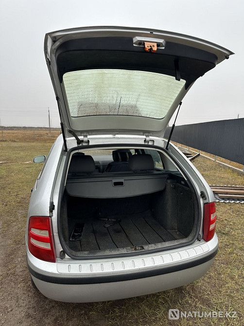    year Almaty - photo 1