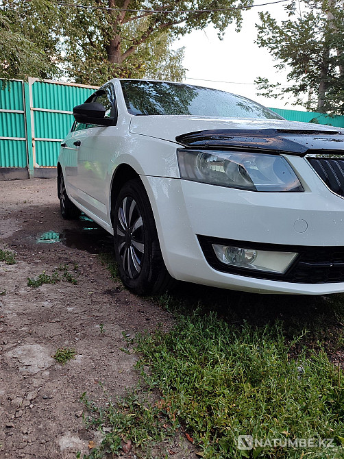    жыл  Алматы - изображение 6