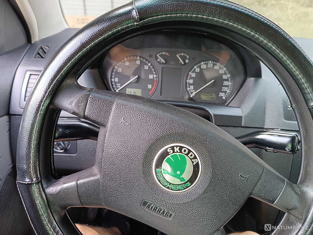    year Almaty - photo 7