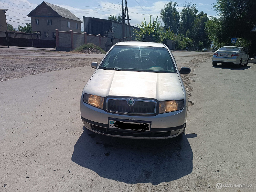    year Almaty - photo 9