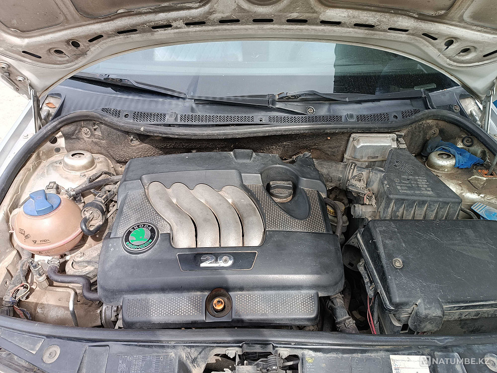    year Almaty - photo 8